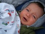 Oskar Vogel im Kinderwagen mit grauer Kapuze auf dem Kopf. Foto: Paul Morf Gronert