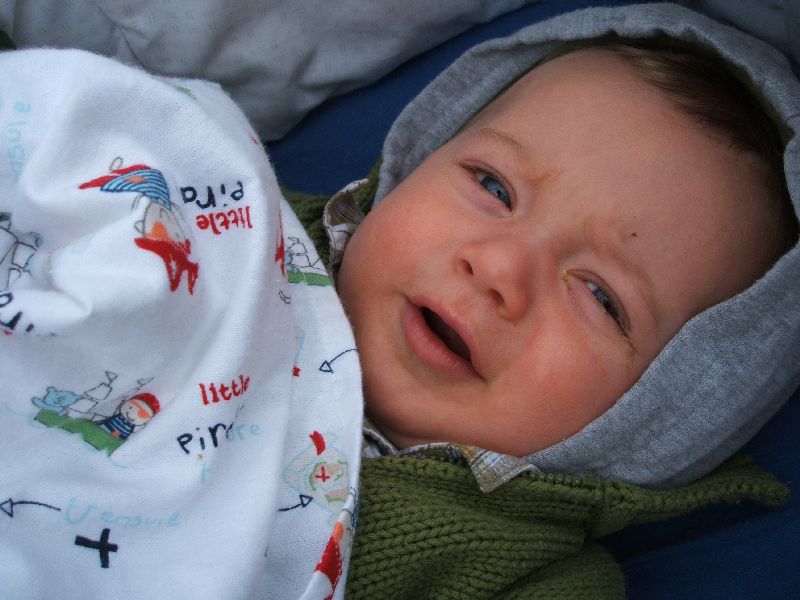 Oskar Vogel im Kinderwagen mit grauer Kapuze auf dem Kopf. Foto: Paul Morf Gronert